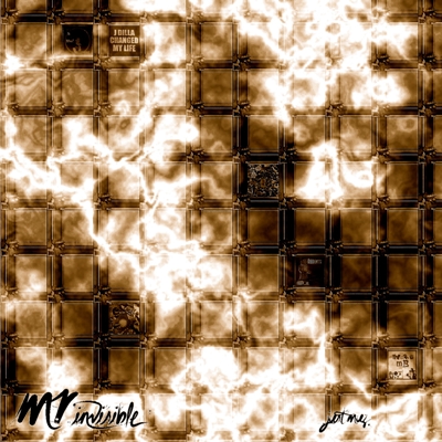 Mr Invisible  (Bonus Edition) by Just Muz coverart 400